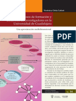 4 Los Procesos de Formacion y Desarrollo de Investigadores en La Universidad de Guadalajara