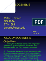 1 Gluconeogenesis