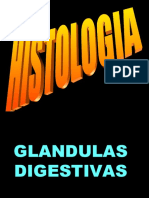 glandulas digestivas h