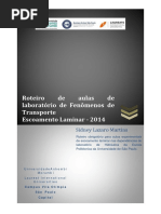 Laboratório FT - Escoamento Laminar