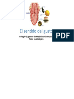 El Sentido Del Gusto