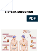 Sistema Endócrino.ppt