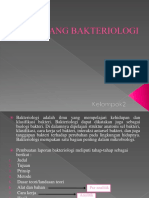 Bidang Bakteriologi