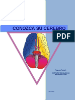 1TRICEREBRAL.pdf