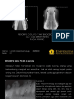 Andri Maulana Yusup (12820051) (Kelas C) Kasus Resorpsi Gigi, Penyakit Endodontik Dan Gigi Persisten Pada Anjing