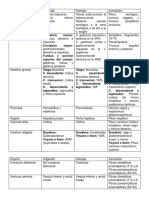 Irrigación, drenaje e inervación de los órganos