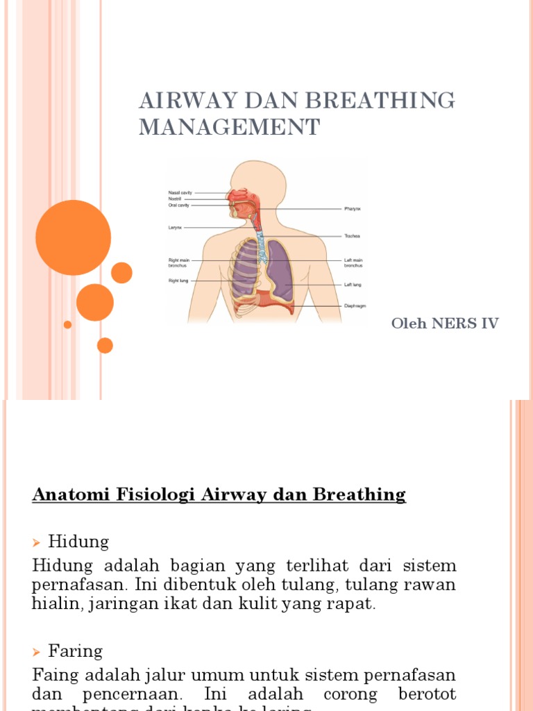 Airway Dan Breathing Management Pdf