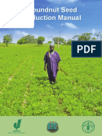 Groundnut Seed Production Manual Groundnut Seed ... - Icrisat