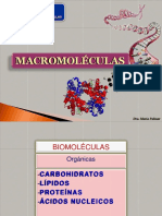 BIOLOGÍA CELULAR Macromoleculas