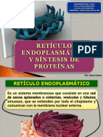 8- RETICULO ENDOPLASMATICO- B2b 2014.pdf