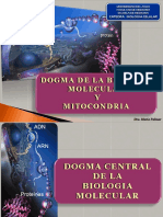 10- DOGMA BIOLOGIA CELULAR Y MITOCONDRIA -RESPIRACION CELULAR - B2b2014.pptx