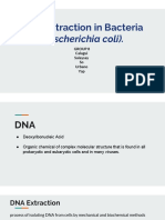 DNA Extraction in Bacteria (Escherichia Coli) .: Group 8 Calagui Salaysay So Urbano Yap
