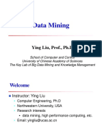 Data Mining: Ying Liu, Prof., PH.D