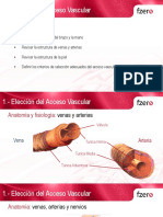 1 Elección Del Acceso Vascular