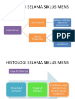 Histologi Selama Siklus Mens