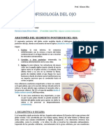 ANATOMOFISIOLOGÍA DEL OJO PARTE 2 Rev B