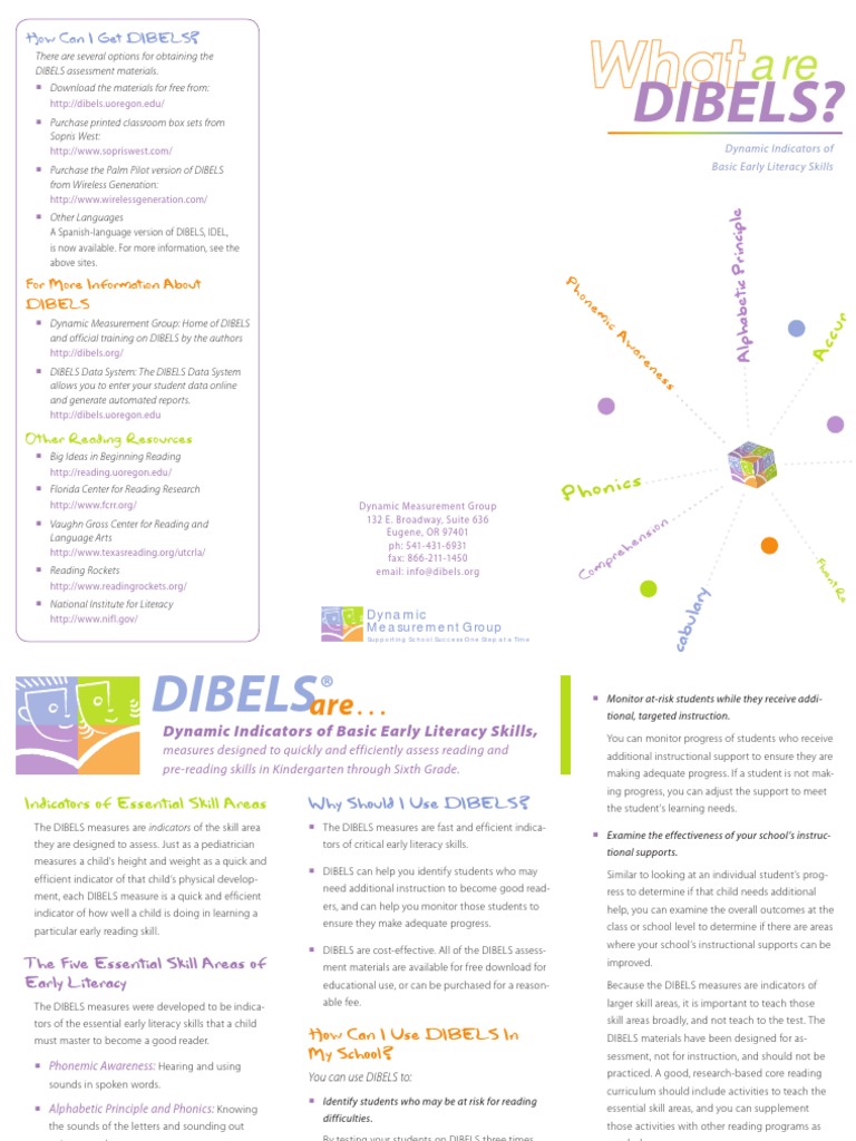DIBELS Brochure PDF | PDF | Cognitive Science | Learning