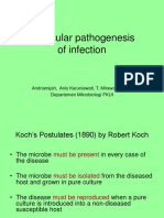 Molecular Pathogenesis of Infection