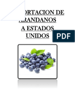 Exportación de arándanos azules a EE.UU