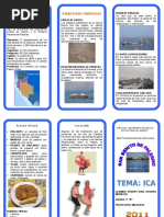 Triptico Ica