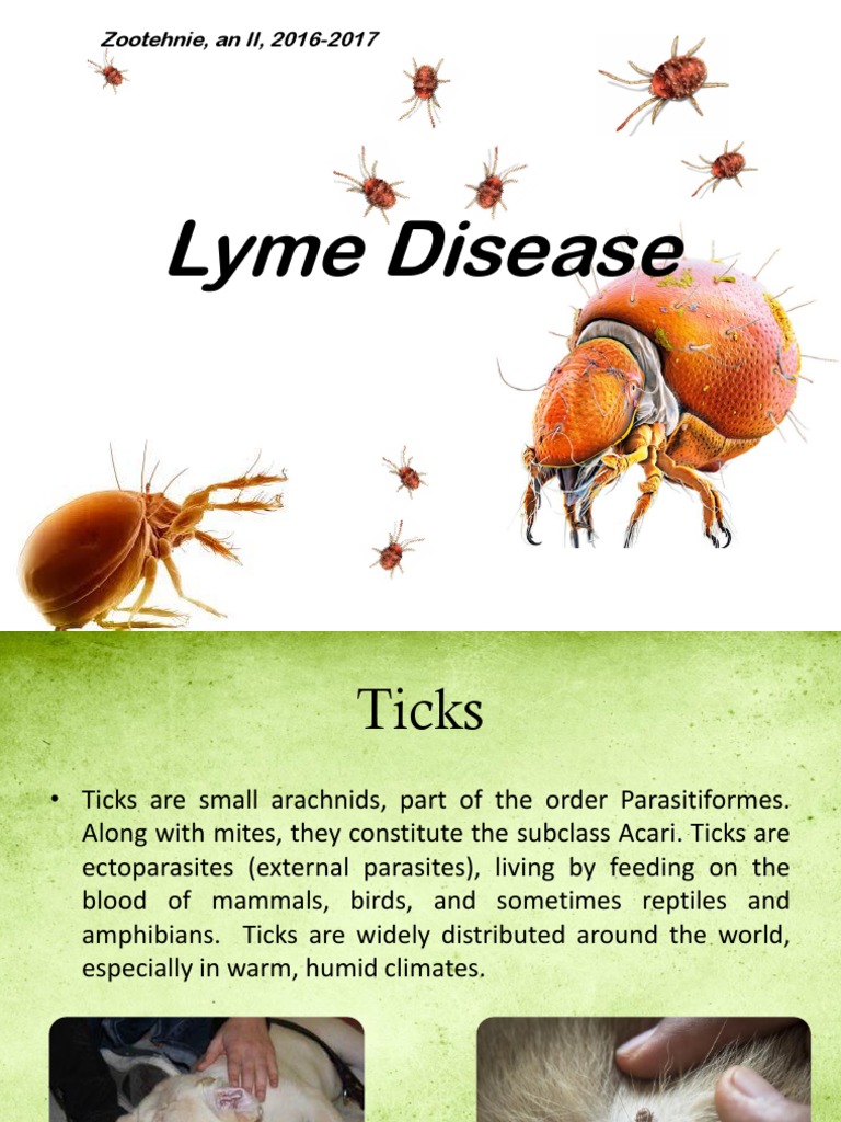 Lyme Disease Zootehnie, An II, 20162017 PDF Immunology Diseases