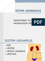 01 Anatomi Sistem Urologi