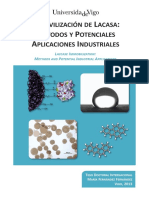 Inmovilización de Lacasa PDF