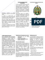 Triptico de Afp