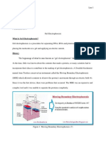 Gel Electrophoresis