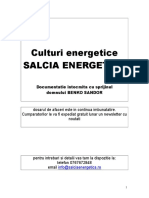 Dosar Afacere Salcia Energetica