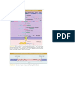 Gambar Splicing Rna