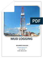 Desarrollo Mud Logging