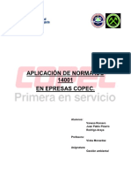 APLICACION-DE-NORMA-ISO-14001.pdf