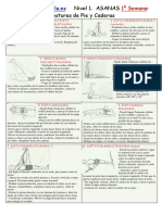 Apuntes-Iyengar-1.pdf