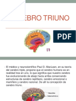 Cerebro Triuno