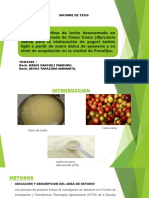 Proporcion Optima de La Leche Descremada en Polvo y Mermelada de Camu-Camu (Myciaria Dubia)