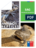 guia_anfibios_reptiles_sag.pdf