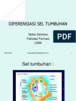 Diferensiasi Sel Tumbuhan PDF