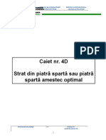 4_Funda__ie_Piatra_Sparta.doc