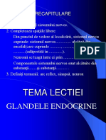 Glandele Endocrine