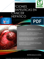 Opciones Terapeuticas en Cáncer Hepático