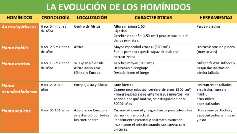 Características y evolución de homínidos | PDF | Homo | Evolución humana