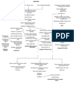 Pathway Pneumonia