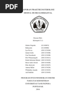 Download Laporan Praktikum Fisiolog1 Fix by Antony Halim SN366882710 doc pdf