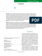 rr091b PDF