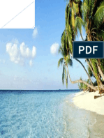 Sunny Beach PDF