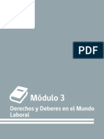 Derechos y Deberes en El Mundo Laboral: Modulo 3 Participante