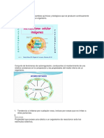 Conjunto de Los Cambios Químicos y Biológicos Que Se Producen Continuamente en Las Células Vivas de Un Organismo