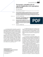 IDENTIFICACIÓN DE ASPERGILLUS.pdf