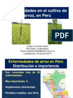 Enfermedades del cultivo de arroz en Perú